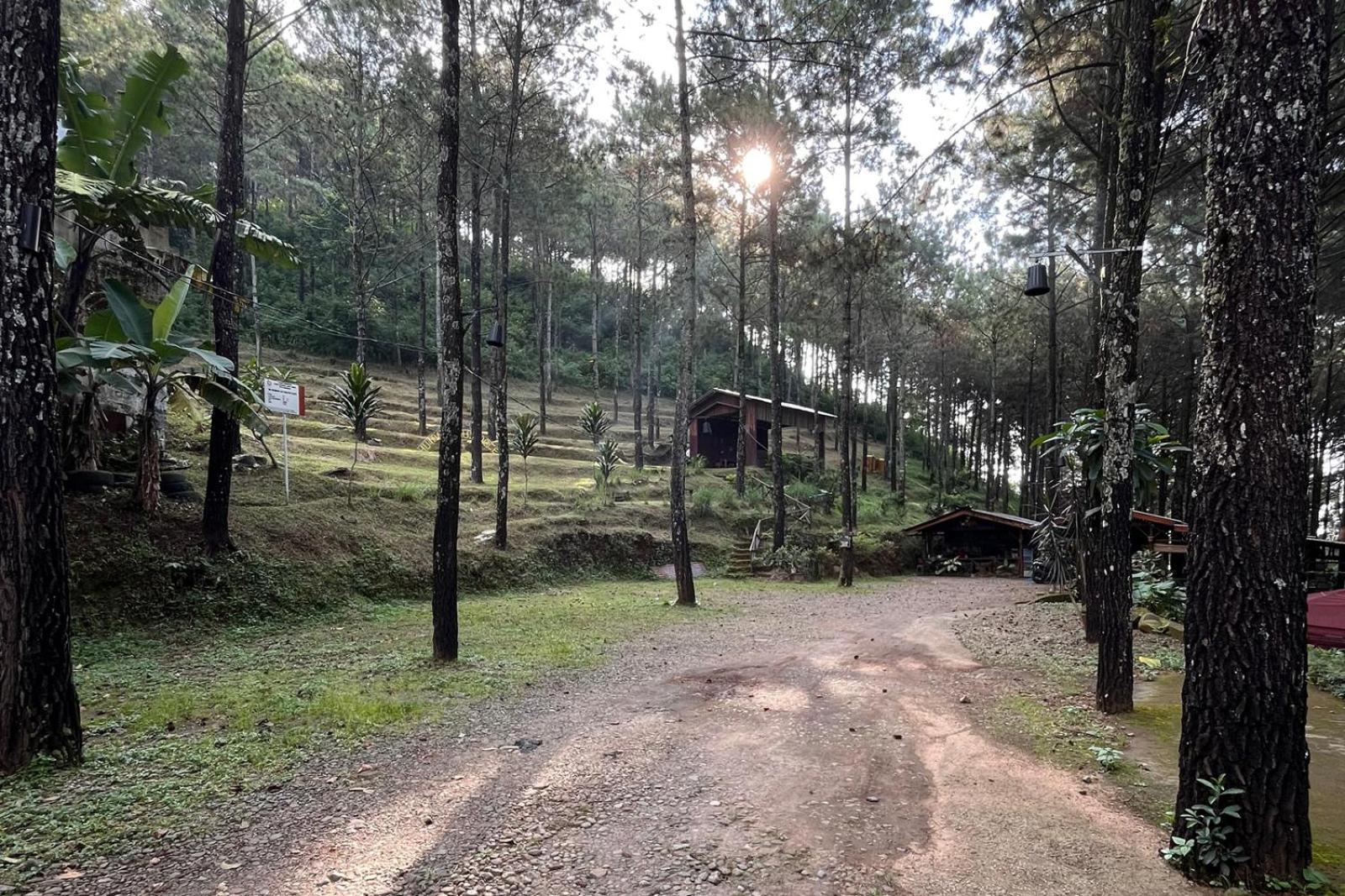 Alas Pacet By Twospaces, Mojokerto Экстерьер фото